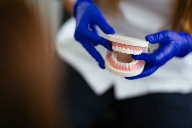 Sweetwater, FL Holistic Dental Services Pros